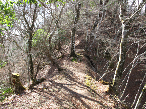 20161206hike (239)
